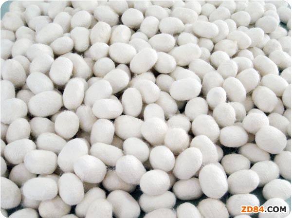 �S�����ؙz�y�Q�z����k��