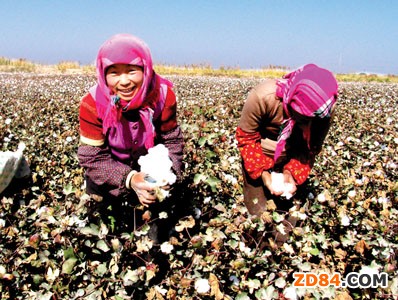 國(guó)家發(fā)改委出臺(tái)三項(xiàng)政策促進(jìn)新疆跨越式發(fā)展