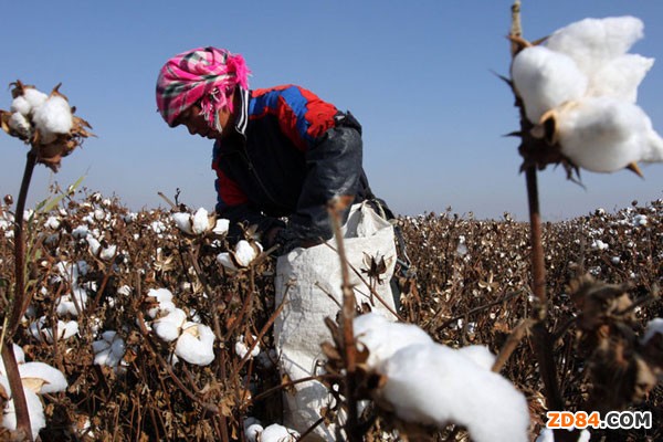 �½��޻��r(ji��)�������(w��n)�� �ط��ރr(ji��)�µ�