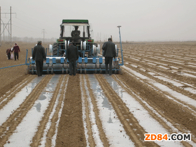 新疆南疆棉花全面開播