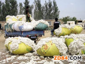 【一線呼聲】棉價 紡織企業(yè)不能承受之痛