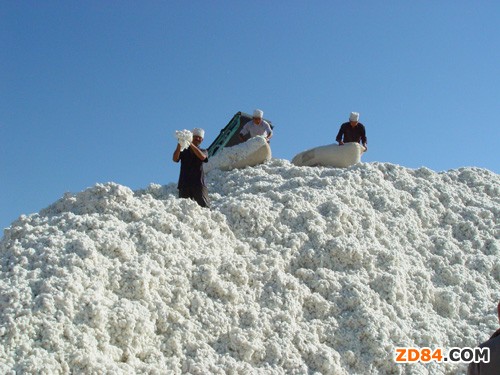 PAU ��(j��ng)��(j��)�W(xu��)���A(y��)�yȫ���޻��r(ji��)��(w��n)��