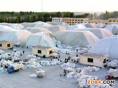 ��(gu��)�޲�ُ(g��u)���� �ރr(ji��)�������p