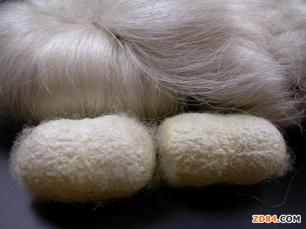 �㽭ͩ�l(xi��ng)���Q�z����I(y��)��Σ��C(j��)