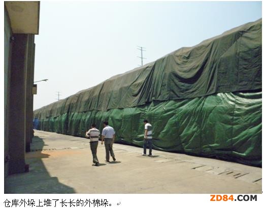 山東棉花“滯庫(kù)” 棉商大量囤積逼近庫(kù)存極限