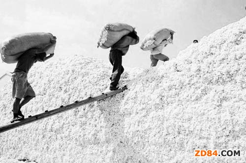 業(yè)界建議棉企應(yīng)盡量減少棉花囤積