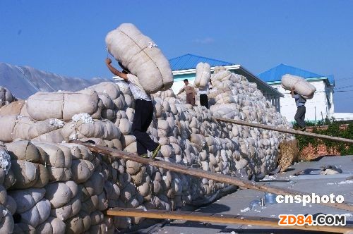 棉花內(nèi)外大價(jià)差將長(zhǎng)期存在
