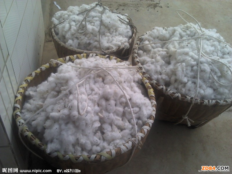 棉花市場需求疲軟 企業(yè)處于停產(chǎn)邊緣