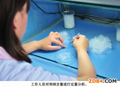 重慶市將建國(guó)家級(jí)紡織服裝質(zhì)檢中心