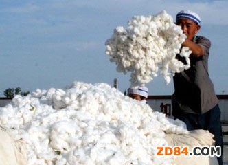 紡織業(yè)低迷使國(guó)內(nèi)棉花政策左右為難