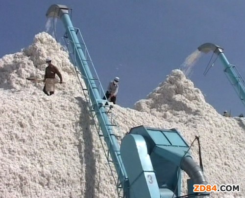 國家連續(xù)出臺新政提振新疆涉棉企業(yè)信心