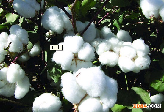 ���е����������r(n��ng)�ͼ�����I(y��)������yȡ��