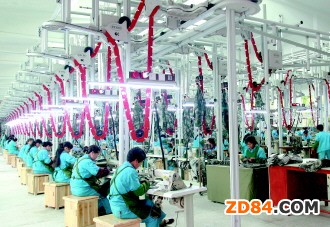 眾董事討論紡織服裝上市公司市值管理缺陷