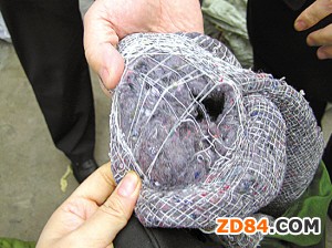 ��(gu��)���|(zh��)�z���֣���(y��n)��&ldquo;������&rdquo;����У�@