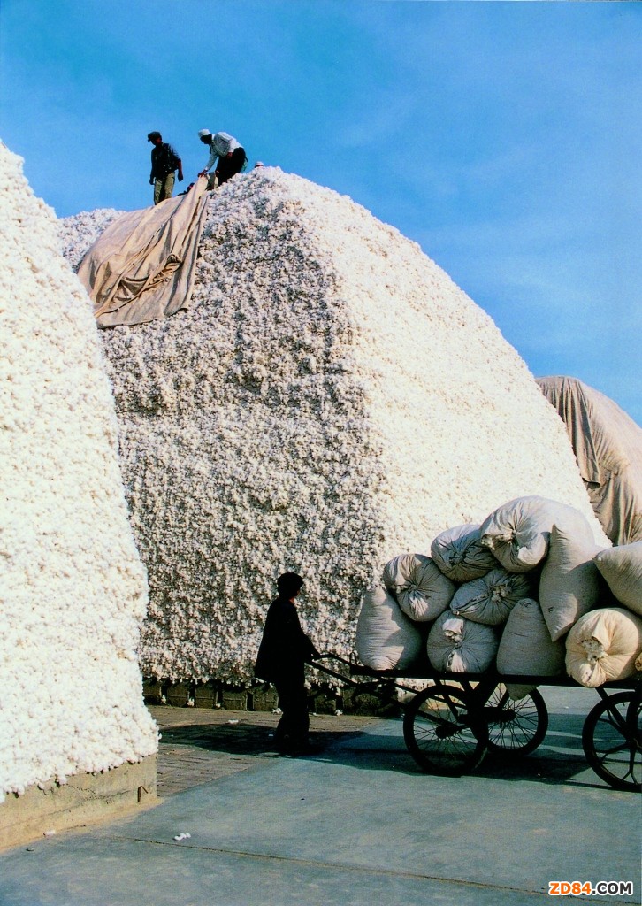 “棉”里藏針的日子很難熬