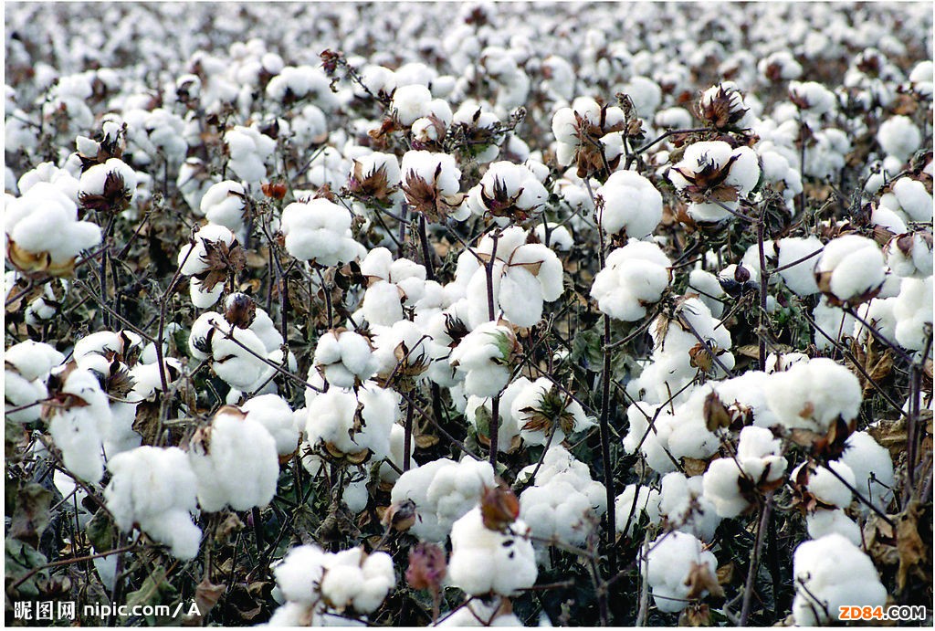 �����������ӡ��޻��F(xi��n)؛�Ј��A(y��)Ӌ�ɽ����^�m(x��)С��