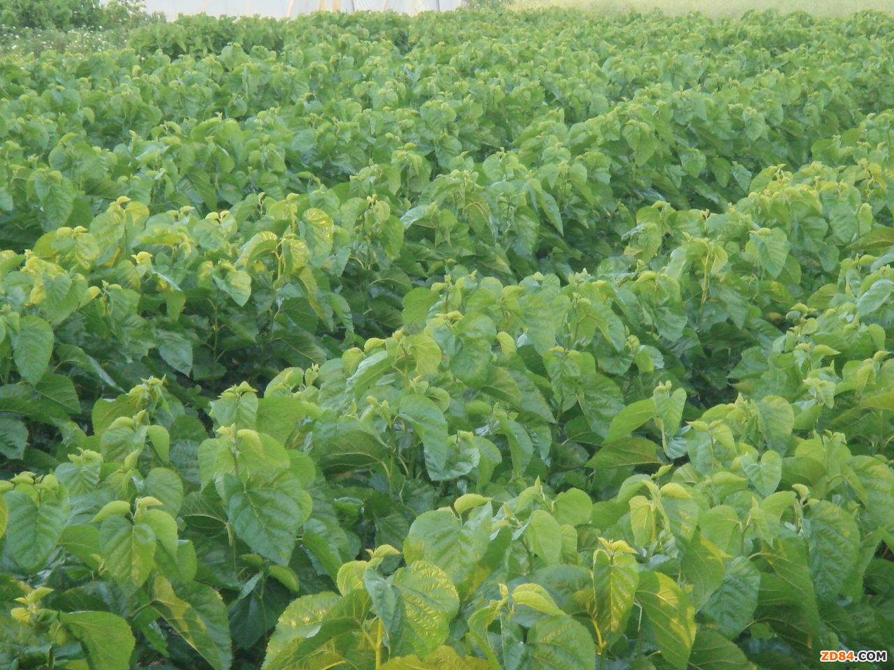 �㽭�I���Ļ��z�a(ch��n)���B(t��i)�@ �^�m(x��)����ɣ�Q�z����ˇ