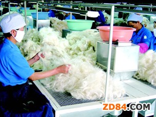 ������q�rֵ�׺���