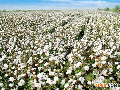 ����������I(y��)�D(zhu��n)���������⼆ ������I(y��)̝���N��