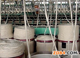 �����ڴ�ֱ���M(j��n)�ڰͻ�˹̹����Ʒ