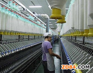 �Ї�ᘿ�������ɽ��55%���S������֧��