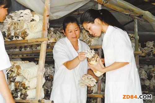 �V����ɣ�U���aʳ�þ������������� ���lѭ�h(hu��n)�����