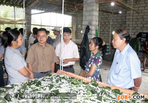 �V�����¿��ɣ�Q�������F(xi��n)�������A