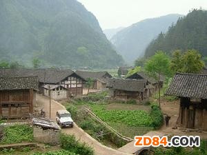 四川南部縣:順應(yīng)形勢(shì) 打造蠶桑產(chǎn)業(yè)