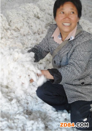 國內(nèi)新棉購銷基本完成