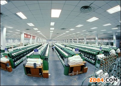 蕭山副區(qū)長(zhǎng)趙立明調(diào)研中國(guó)化纖科技城