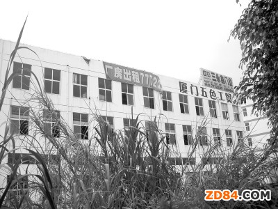 廈泉鞋企受高稅費(fèi)影響 部分工廠停產(chǎn)出租