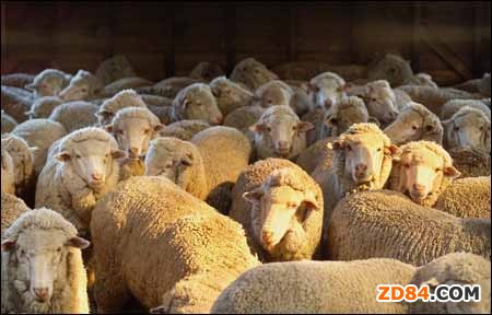 ��(j��ng)��(j��)������_����ë�Ј�