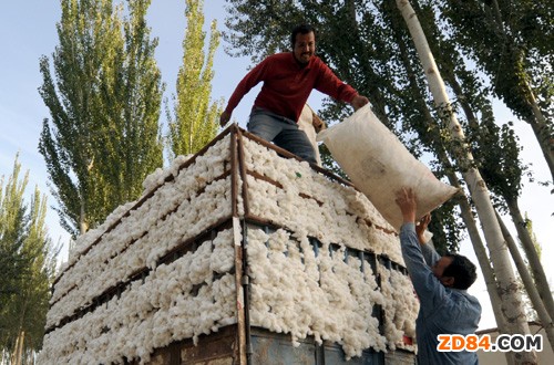 王天凱率團赴新疆調(diào)研