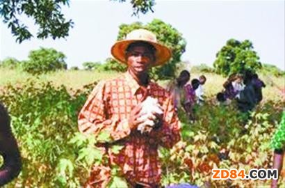 ���၆��������f(xi��)�h�Ƅ�(d��ng)��(d��ng)?sh��)ؼ����I(y��)�l(f��)չ