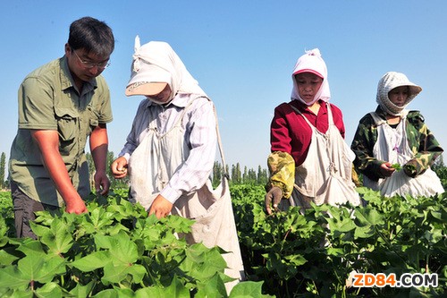 �ӱ��������������ޜp�a(ch��n) ����Ӌ(j��)��9����Ѯ�_(k��i)��