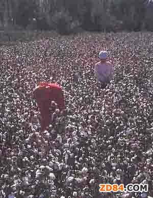 �½������޻��a(ch��n)�I(y��)����(y��n)��&ldquo;��חl&rdquo;��I(y��)