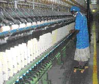 全球的投資者將目光瞄準(zhǔn)了印度紡織行業(yè)