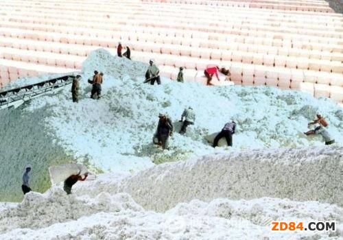 �½����_������(hu��)�h�����޻��Ճ�(ch��)�\(y��n)�N����