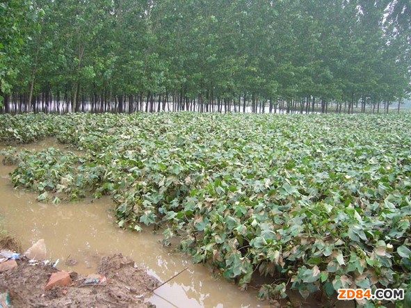 ���ݽ����޻��r���Է�(w��n)������ �cȥ�������ƽ 