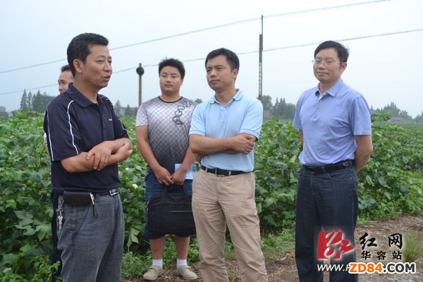 國家棉花工作調(diào)研組到湖南調(diào)研棉花工作