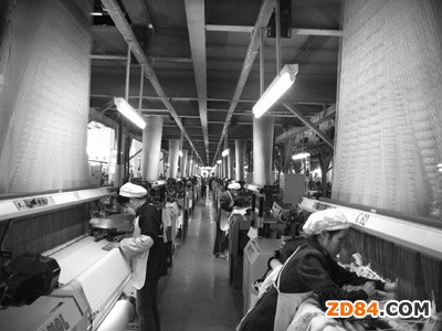 廣東省佛山高明區(qū):紡織染整業(yè)各自為戰(zhàn)