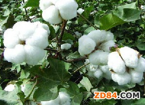 �����ИI(y��)�\����r���ݘ��^