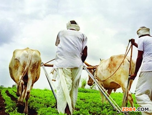 ӡ�ȼ��L�ͻ�o���r(n��ng)����ϣ��