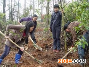 赤峰市地產(chǎn)羊絨制品總體質(zhì)量較好