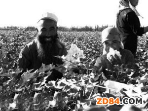 ӡ���޻��a(ch��n)���½����ܛ_��������˾