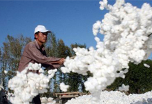 ӡ�ȼ����S��ُ�p�� ����(n��i)�ރr�µ�