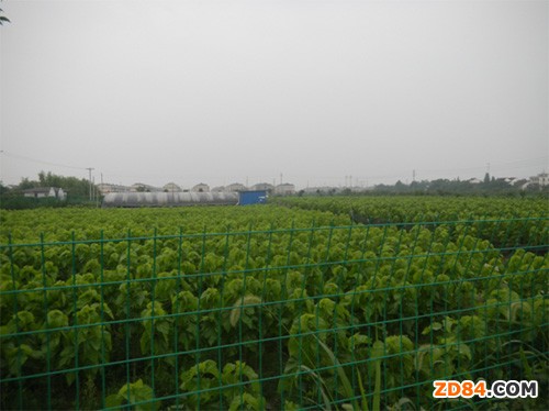 浙江桐鄉(xiāng)市首個(gè)省級(jí)特色農(nóng)業(yè)精品園通過(guò)省級(jí)驗(yàn)收