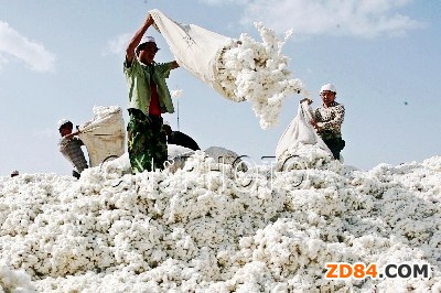 只強(qiáng)調(diào)內(nèi)外棉價差掩蓋了紡織業(yè)很多矛盾
