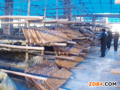 四川閬中:特色蠶業(yè)發(fā)展初見成效