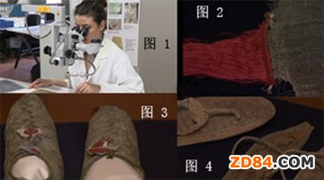 �Ŵ�����Ʒ�ޏ�(f��)����������������^